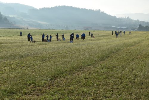 DSC 3770-Mittel