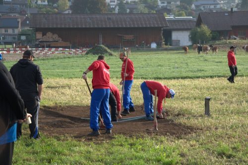 DSC 3771-Mittel-1