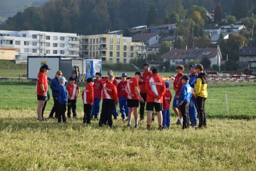 DSC 3774-Mittel-1