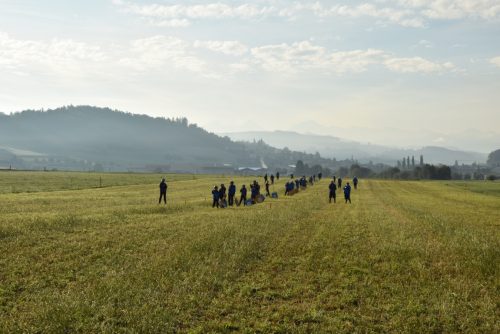 DSC 3777-Mittel