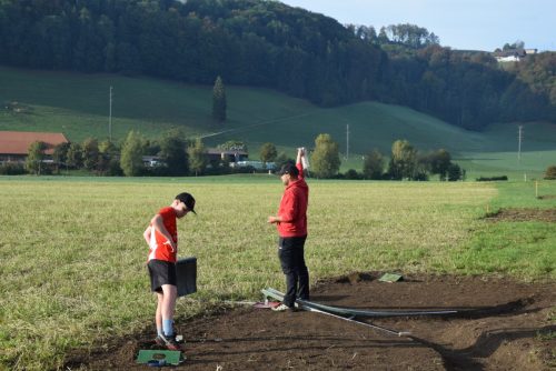 DSC 3780-Mittel
