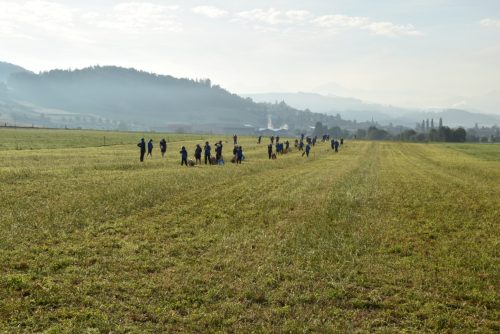 DSC 3785-Mittel