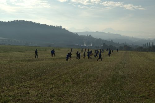 DSC 3786-Mittel-1