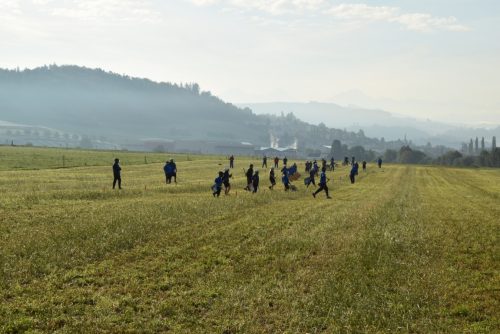 DSC 3786-Mittel
