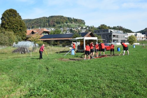 DSC 3799-Mittel