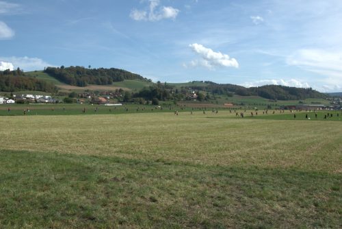 DSC 3822-Mittel-1